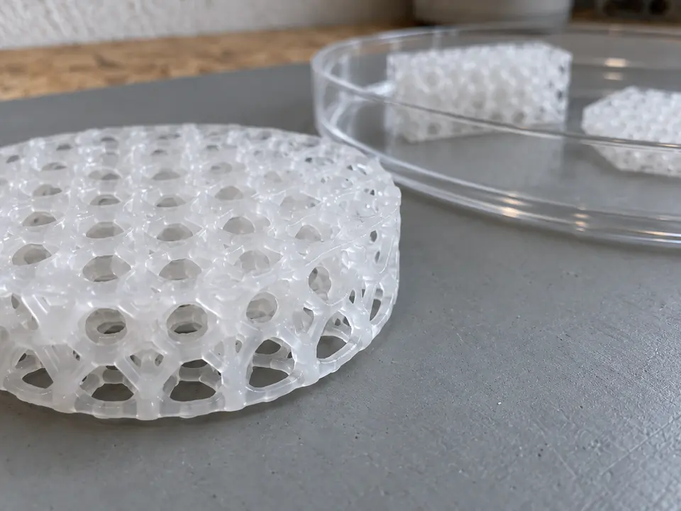 A close view of the open pore structure.