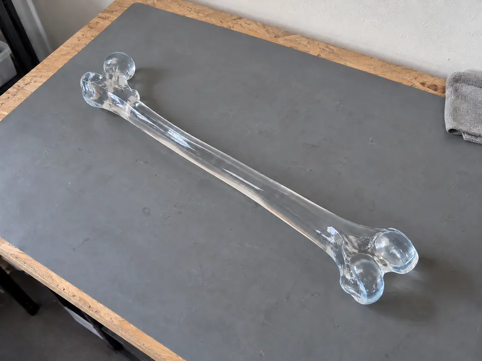 The transparent femur on the workshop bench.
